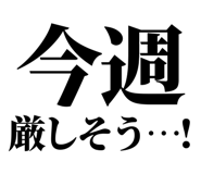 847929292