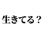 847929313