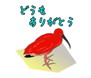 847961674