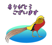 847961675