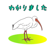 847961691
