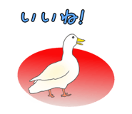 847961697