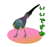 847961699
