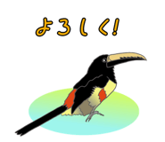 847961705