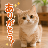 847962124