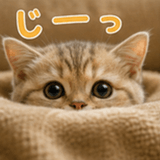 847962152