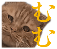 847963741