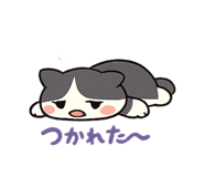 847964216