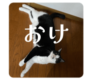 847964371