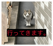 847965005