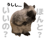 847965201