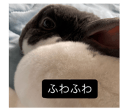 847965210