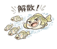 847965278