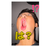 847965587