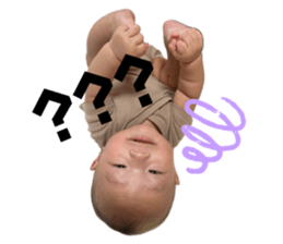 847968843