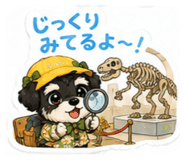 847970284