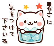 847972527