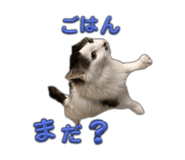 847976882