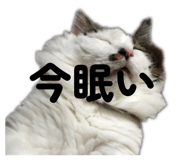 847976885