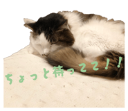 847976887