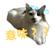 847976895