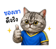 847988965