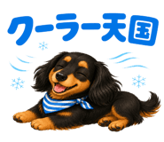 847989913