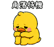 847990244