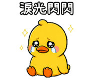 847990252