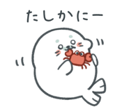 847991706