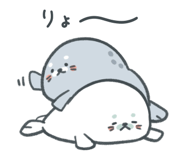 847991707