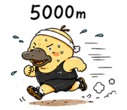 847993803