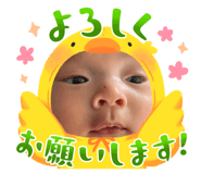 847999982