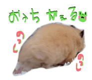848003056