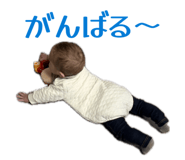 848003991