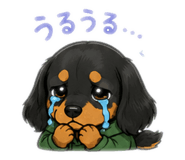 848004062