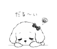 848005334