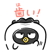 848017081