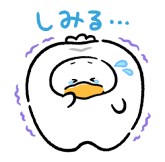 848017093