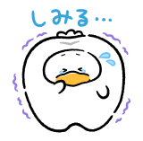 848017093