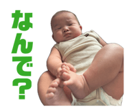 848018426