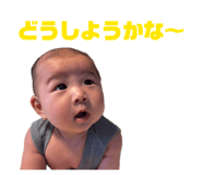 848018427
