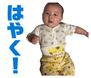 848018428