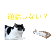 848018565