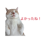 848018566