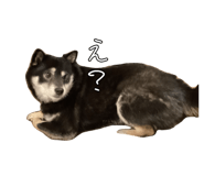 848019009