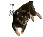 848019010