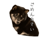 848019012