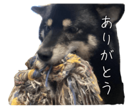 848019013