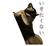 848019014